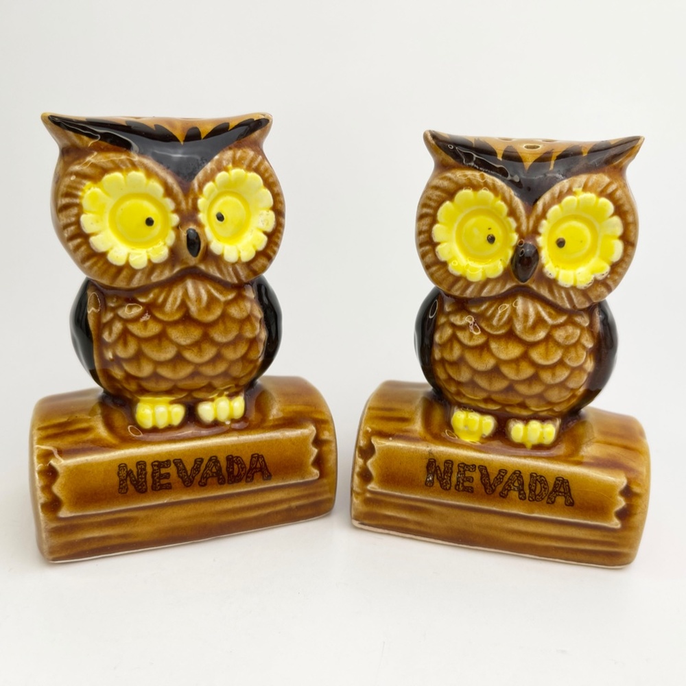 Vintage Ceramic Owl Salt and Pepper Shakers Nevada Kitschy Retro Owls Figurines